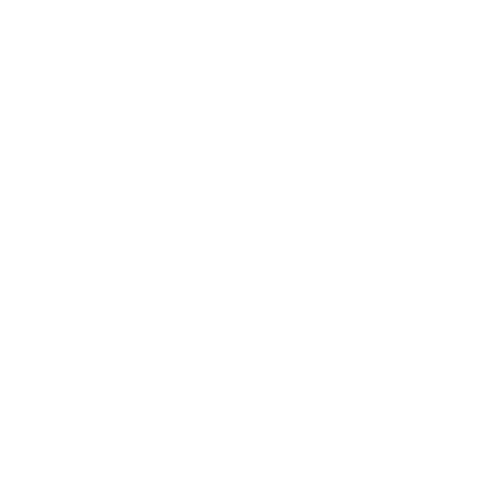 STYLE EXPANSION